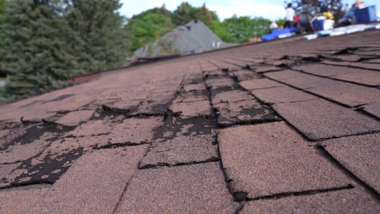 Best Roof Coating Services  in Gillette, NJ