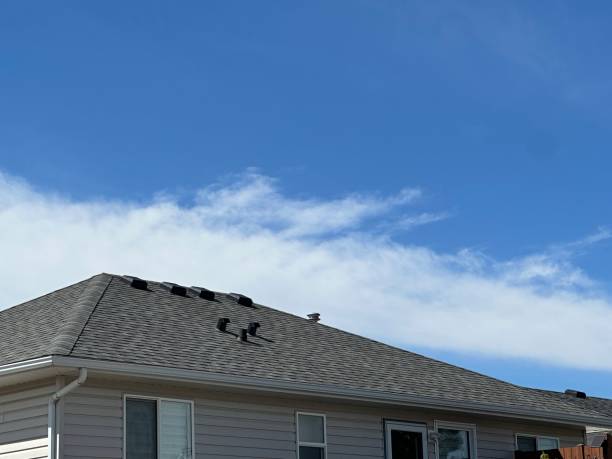 Steel Roofing in Gillette, NJ